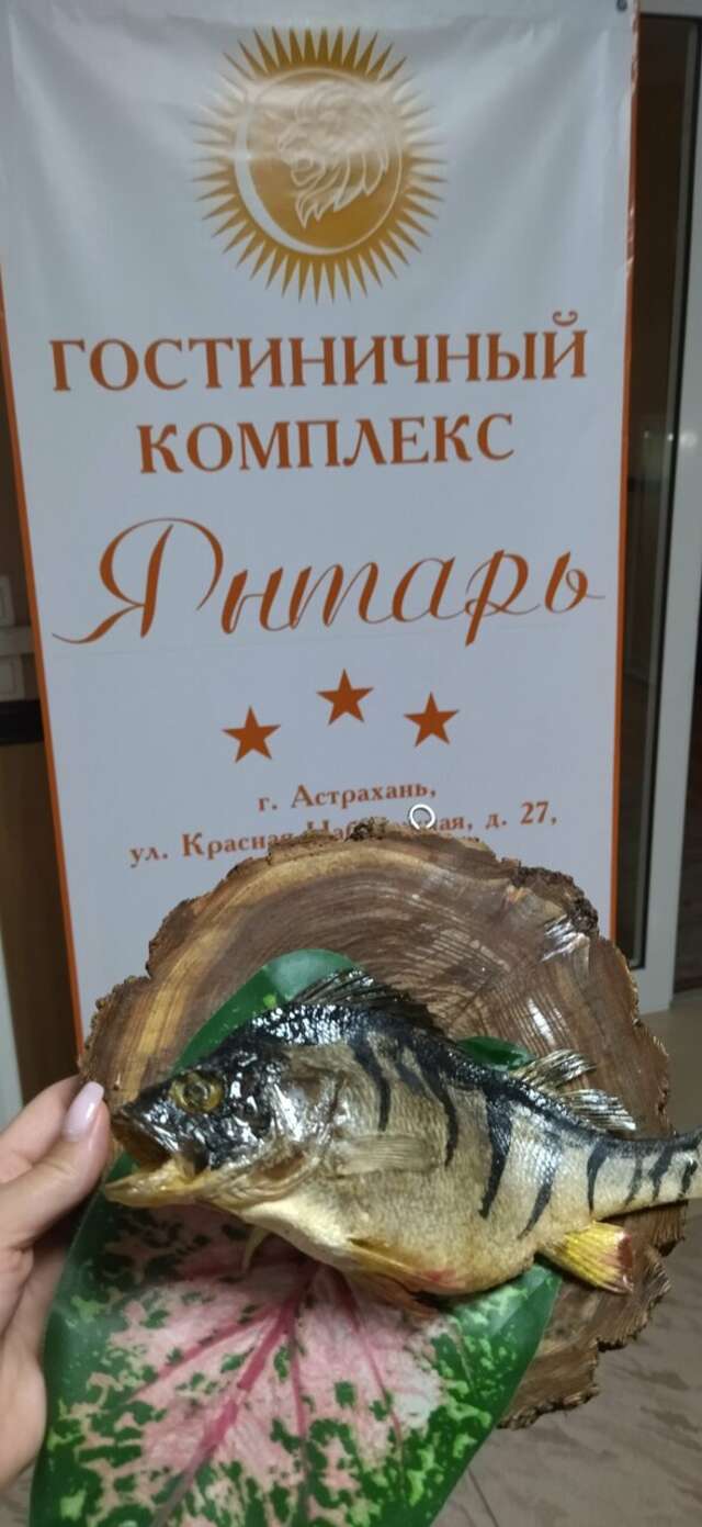 Гостиница Янтарь Астрахань-186